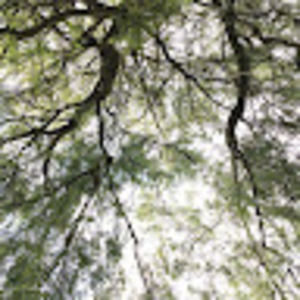 Meet your Posher, Krista